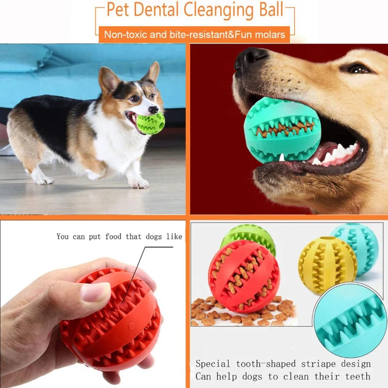Interactive Dog Chewable Toy Ball