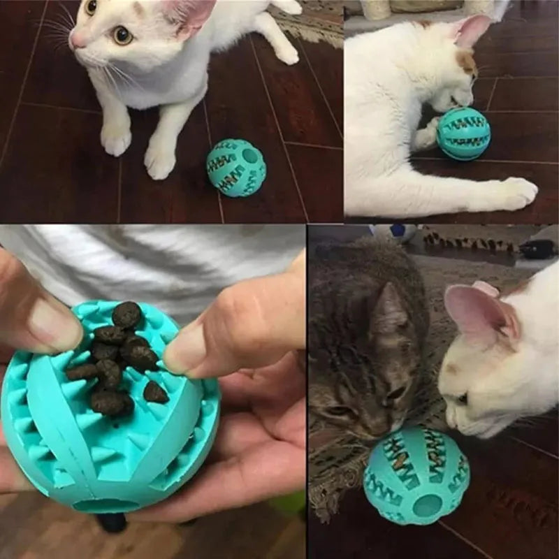 Interactive Dog Chewable Toy Ball