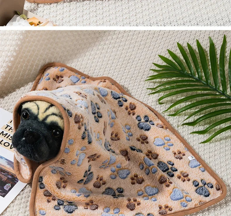 Coral Fleece Pet Sleeping Blanket