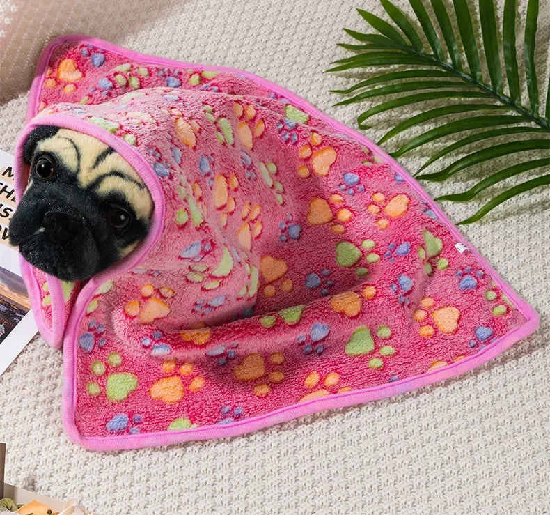 Coral Fleece Pet Sleeping Blanket