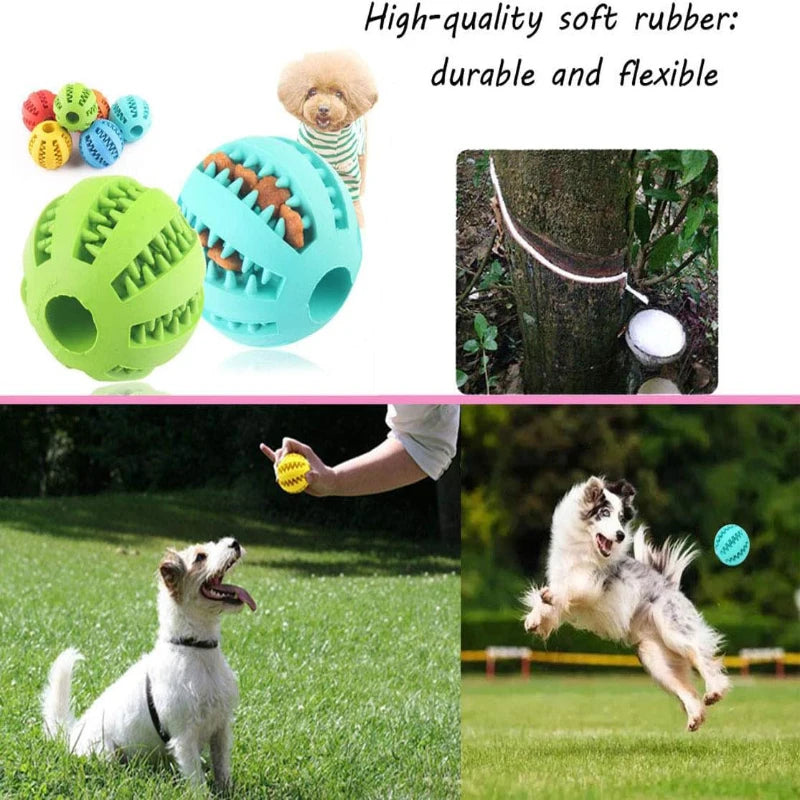 Interactive Dog Chewable Toy Ball