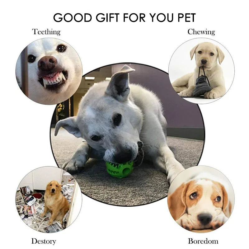 Interactive Dog Chewable Toy Ball