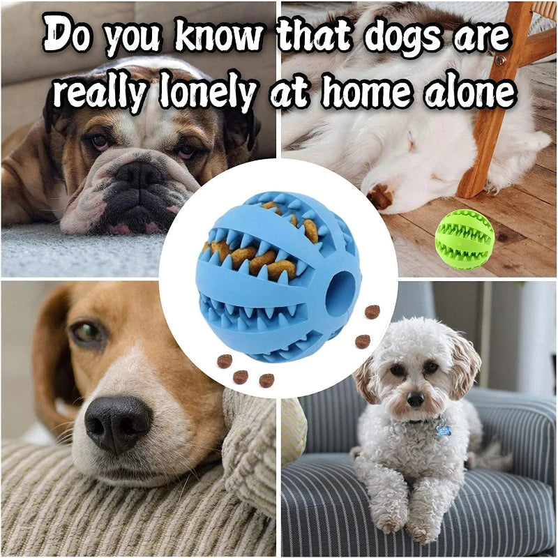 Interactive Dog Chewable Toy Ball