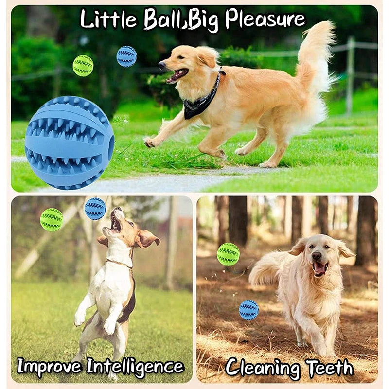 Interactive Dog Chewable Toy Ball