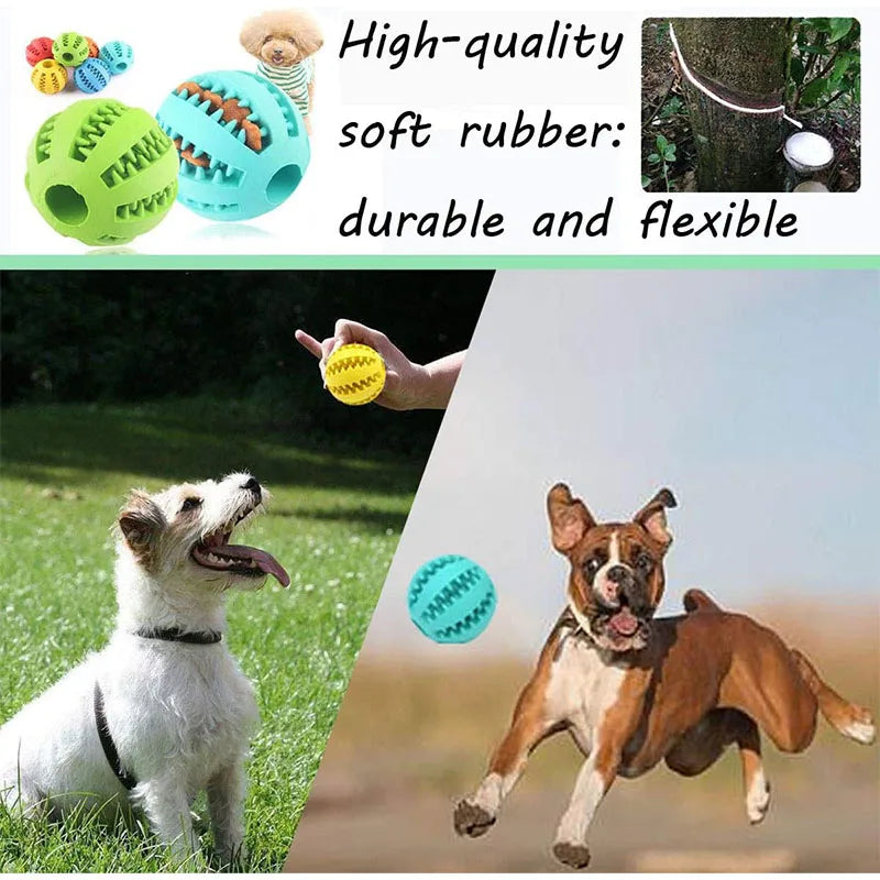 Interactive Dog Chewable Toy Ball
