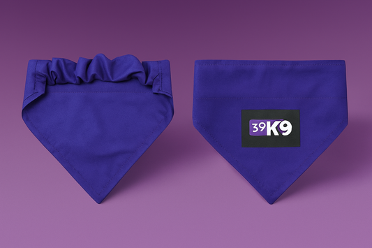 🐶🧣Bandana