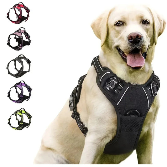 Luxury Dog Collar Harness
