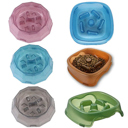 Pet Slow Food Bowl