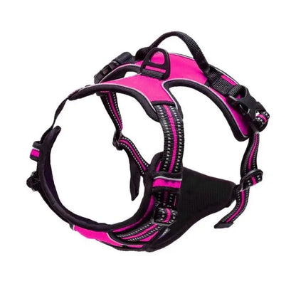 Luxury Dog Collar Harness