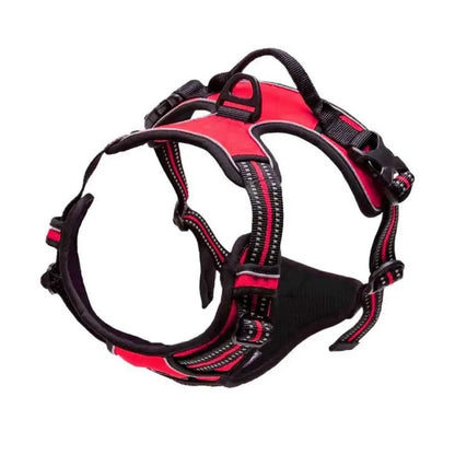 Luxury Dog Collar Harness