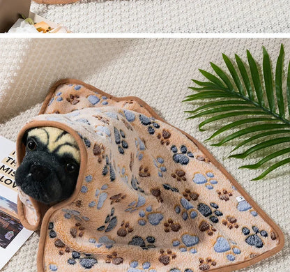 Coral Fleece Pet Sleeping Blanket