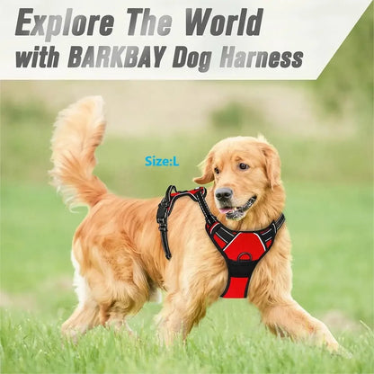 Luxury Dog Collar Harness