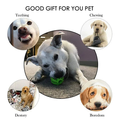 Interactive Dog Chewable Toy Ball