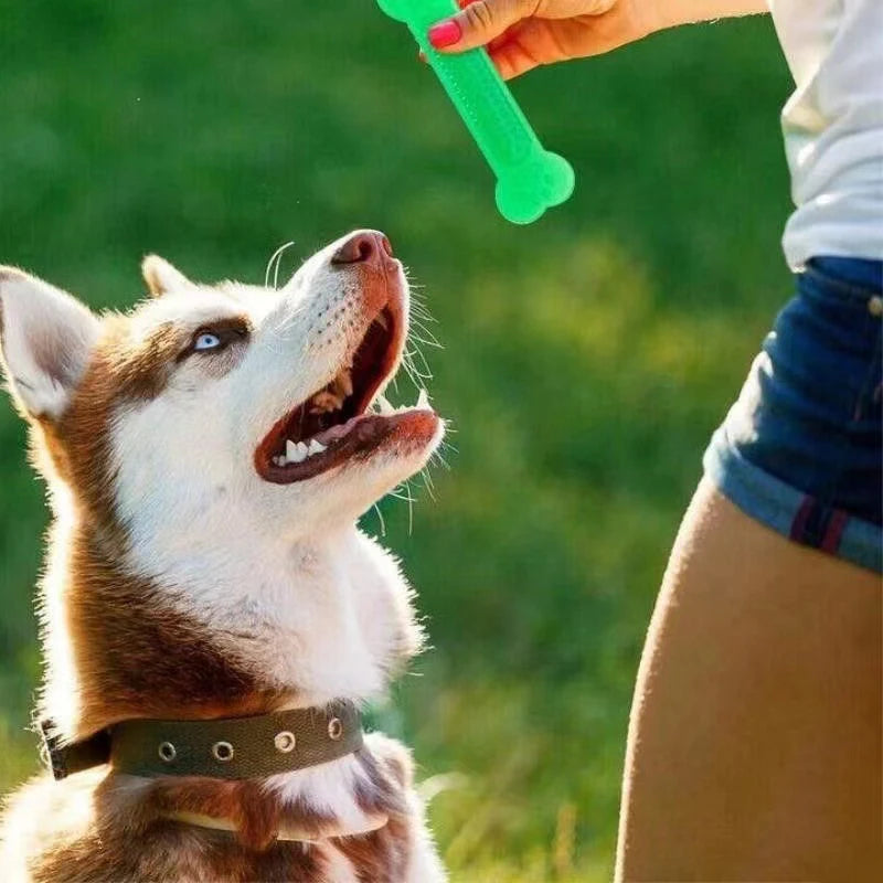 Pet Chew Rubber Bone Toy