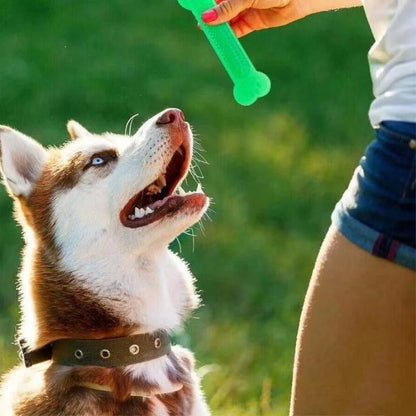 Pet Chew Rubber Bone Toy