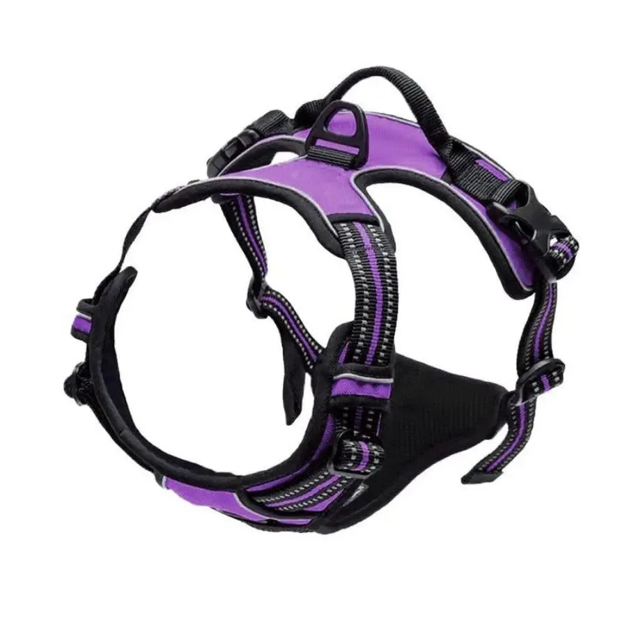 Luxury Dog Collar Harness
