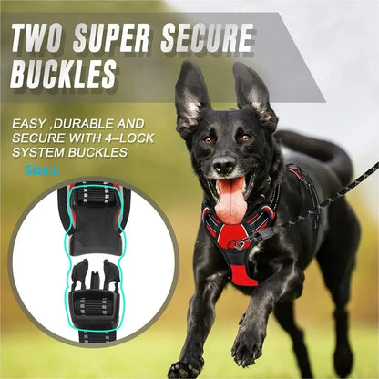Luxury Dog Collar Harness