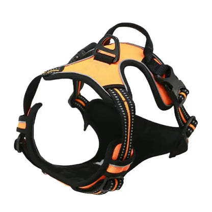 Luxury Dog Collar Harness
