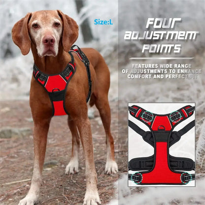 Luxury Dog Collar Harness