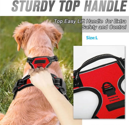 Luxury Dog Collar Harness