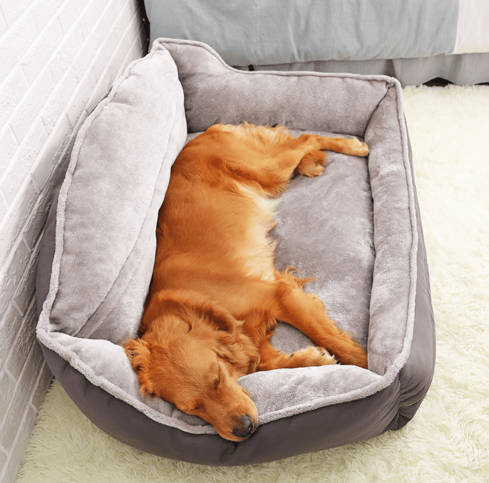 Dog Bed - 39K9