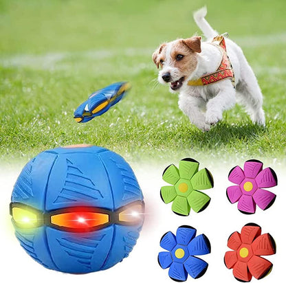 Dog Frisbee - 39K9