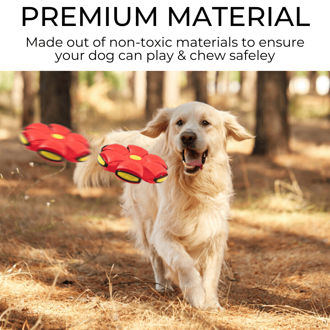 Dog Frisbee - 39K9